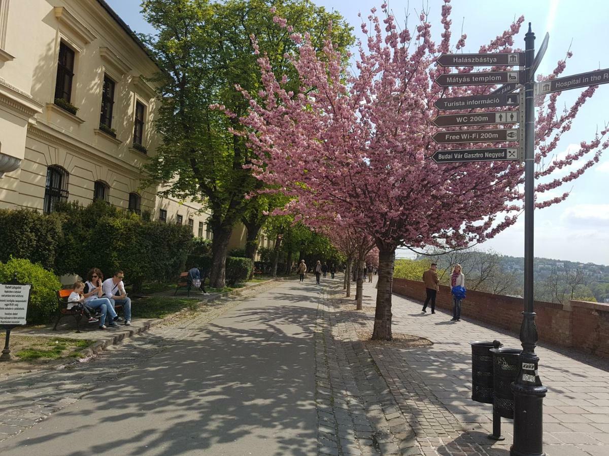 Budasmile Appartment At Buda Castle - Aircon & Free Parking Budapest Luaran gambar